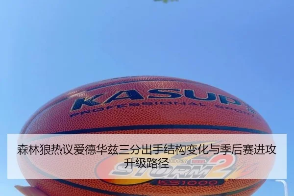 img_1780947558702_1563_1_851.jpg