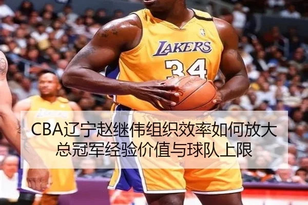 CBA辽宁赵继伟组织效率如何放大总冠军经验价值与球队上限