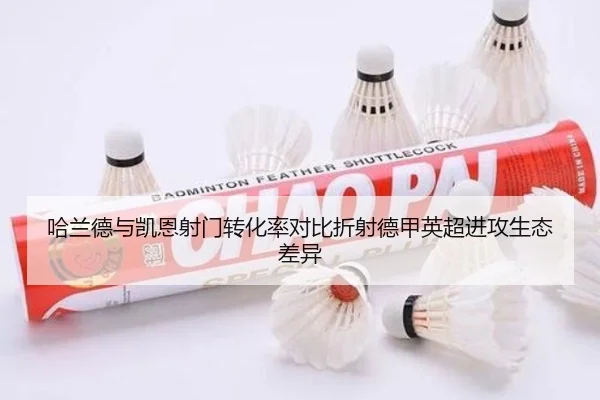 哈兰德与凯恩射门转化率对比折射德甲英超进攻生态差异